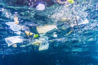 Comment les microplastiques rejoignent les sédiments des fonds marins