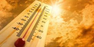 Réchauffement climatique : plus d'un milliard de personnes souffriront de la chaleur chaque année