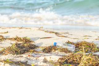 On a retrouvé les 99 % de plastique « disparus » dans l'océan