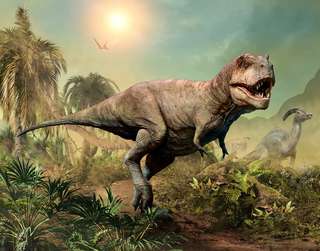 Les tyrannosaures n'étaient pas faits pour courir