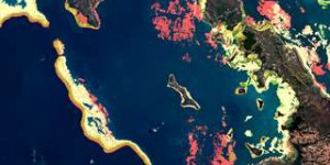 Journée mondiale des océans : des satellites au secours des récifs coralliens