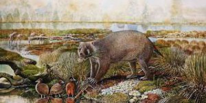 L'ancêtre du wombat australien ressemblait à un ours