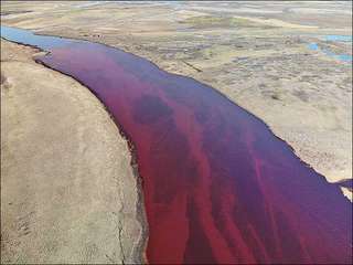 Sibérie : une gigantesque marée noire provoquée par une fuite de pétrole