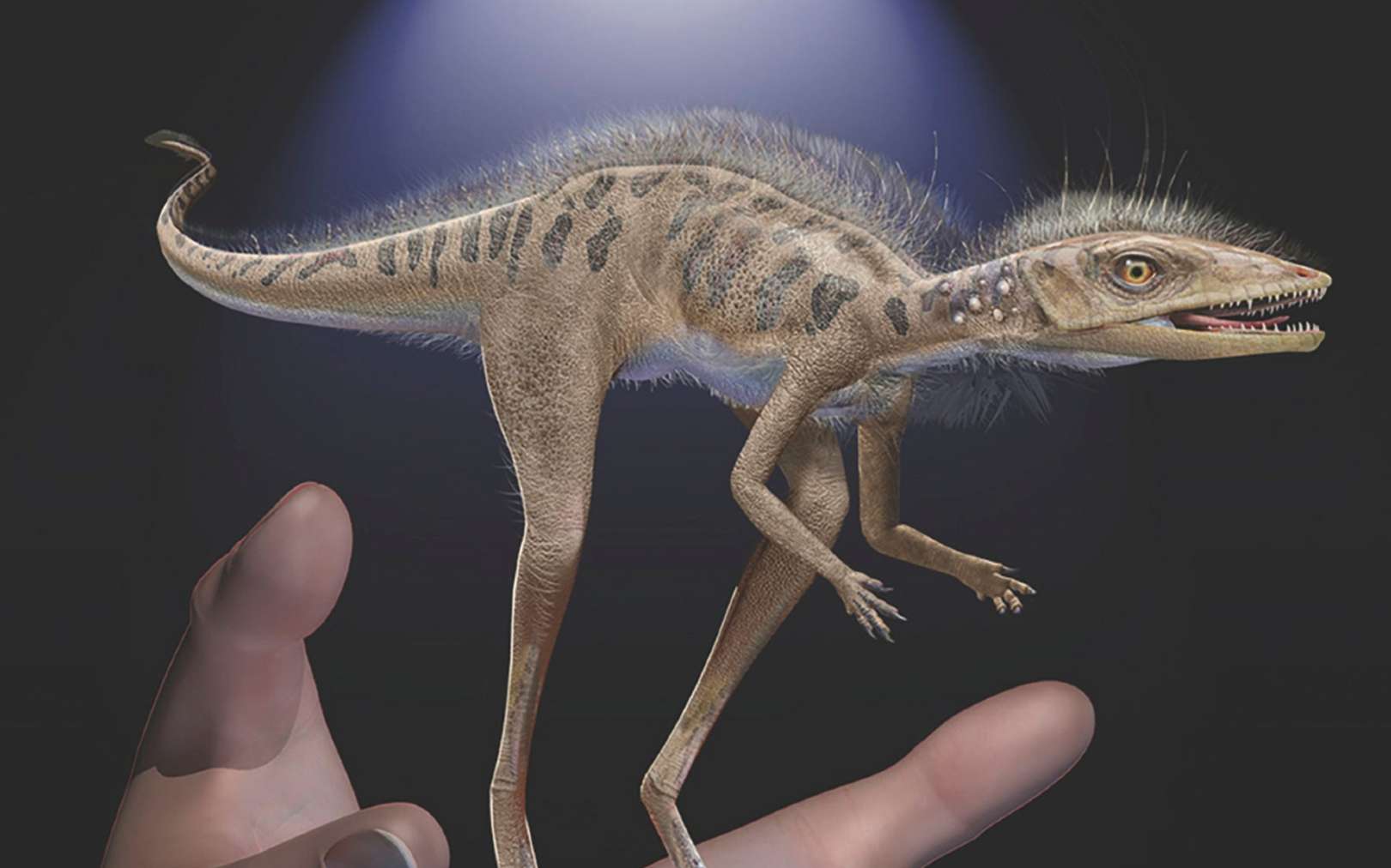Un des ancêtres des dinosaures ne mesurait pas plus de 10 centimètres