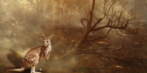 Les méga incendies en Australie ont tué près de 3 milliards d'animaux !