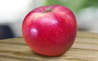 Cette pomme spéciale « réchauffement climatique » pourra résister aux canicules