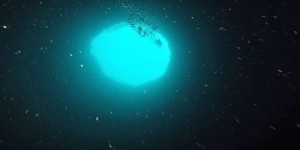 Les scientifiques partent explorer l’immense Trou bleu au large de la Floride