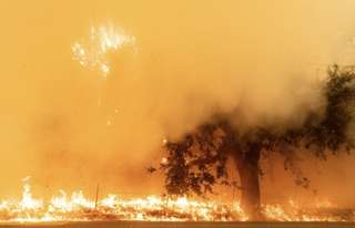 Les incendies en Californie sont hors de contrôle, l'air est irrespirable