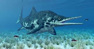 Une proie de 4 mètres retrouvée dans l'estomac d'un ichtyosaure fossile