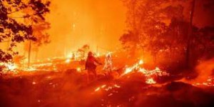 La Californie enregistre un record de surface dévastée par les incendies