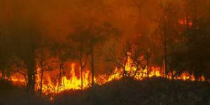 Les fumées toxiques des méga-incendies dans le monde vus par la Nasa