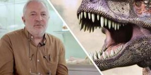 Interview : cinq idées fausses sur les dinosaures