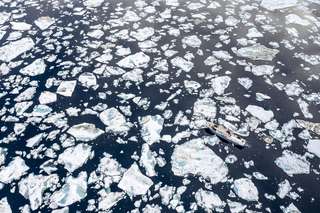Grands témoins : le pôle Nord perd le nord, par Florian Ledoux