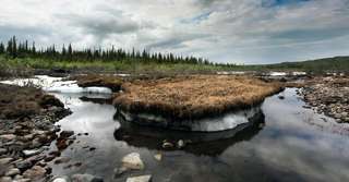 Faut-il craindre la libération de virus pathogènes avec la fonte du permafrost ? Décryptage