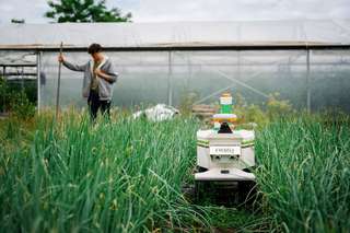 Naïo Technologies s’associe à Varta pour des robots agricoles plus autonomes