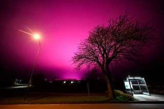 Suède : un ciel se colore en violet... à cause d'un champ de tomates