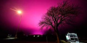 Suède : un ciel se colore en violet... à cause d'un champ de tomates