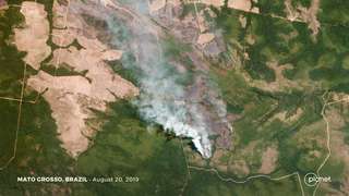 Amazonie : la destruction de la forêt au Brésil est à son plus haut niveau depuis 2008