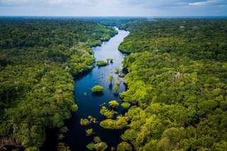 Amazonie : un territoire grand comme l’Espagne a été détruit en 18 ans