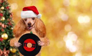 Science décalée : écoutez le premier chant de Noël pour chien