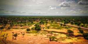 Afrique : vers une renaissance de la Grande Muraille Verte ?