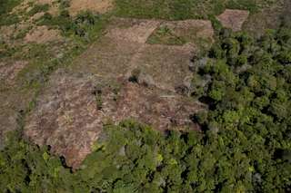 43 millions d’hectares brûlés en 13 ans : quels sont les principaux foyers de déforestation ?