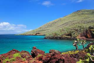Le grand secret de la biodiversité des îles Galápagos