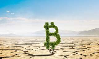 Environnement : le bitcoin consomme-t-il beaucoup d'énergie ?