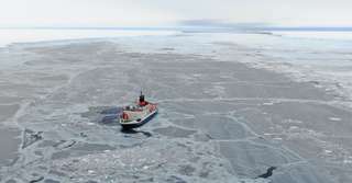 Un monde grouillant de vie découvert après la séparation d'un iceberg géant en Antarctique