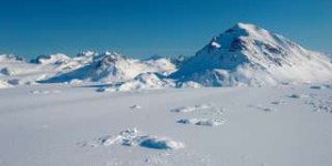 Stupéfaction chez les scientifiques avec la découverte de plantes sous la glace au Groenland