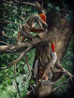 Ce ptérosaure est la plus vieille espèce aux pouces opposables