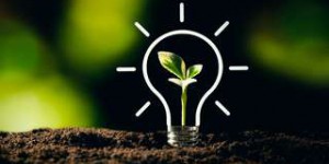 ChangeNOW summit : découvrez six start-up engagées dans le développement durable