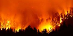 Les incendies en Californie ont obscurci le soleil en Europe en septembre 2020