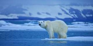 Réchauffement climatique : l'Arctique a peut-être déjà basculé