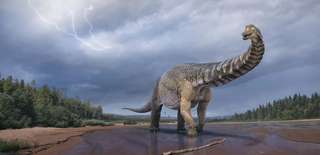 Le « titan du Sud » : le plus gros dinosaure jamais découvert en Australie
