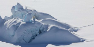 Arctique : « la dernière zone de glace » est menacée par le réchauffement climatique