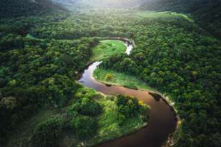 La forêt amazonienne n'est plus un puit de carbone