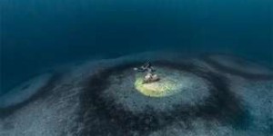 Les mystérieux anneaux de corail de Méditerranée : le nouveau défi de l'équipe de Laurent Ballesta