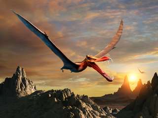 À peine éclos, les petits ptérosaures savaient voler !