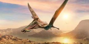 Un dragon volait dans le ciel d'Australie il y a 100 millions d'années