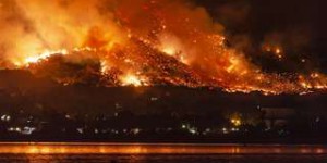 Les feux de forêt dureront 10 ans... et déclineront