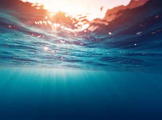 Le réchauffement climatique pourrait transformer jusqu'à 95 % de la surface des océans d'ici 2100