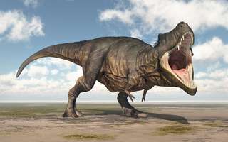 Les T-rex avaient un détecteur de proie au bout de la mâchoire