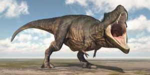 Les T-rex avaient un détecteur de proie au bout de la mâchoire