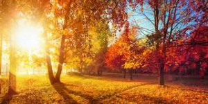 Pourquoi l’équinoxe d’automne tombe aujourd’hui ?