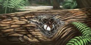 Cette maman araignée prenait soin de ses petits quand la mort l’a emportée il y a 99 millions d’années