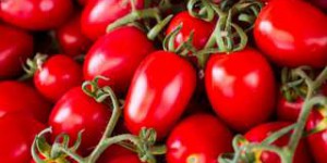 Voici la première tomate génétiquement modifiée par CRISPR