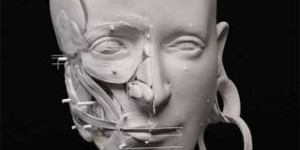 Des chercheurs ont reconstitué des visages humains de l'Âge du bronze