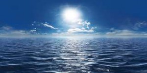 COP25 : « L’acidification des océans est une véritable épée de Damoclès »