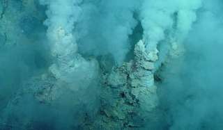 Les bactéries des sources hydrothermales sont de formidables centrales énergétiques